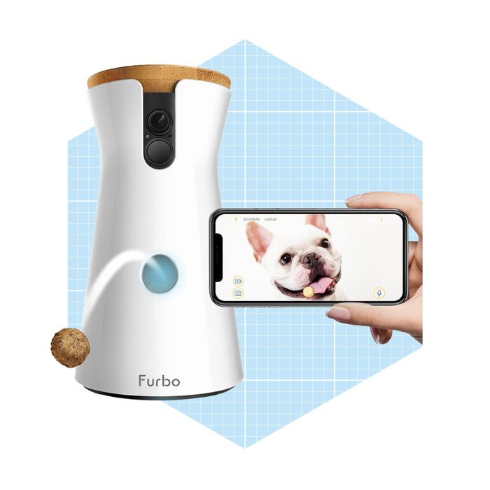 Furbo Dog Camera Treat Tossing, Full Hd Wifi Pet Camera And 2 Way Audio Ecomm Amazon.com