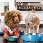 The Top 20 Things Your Dog Should Never Eat