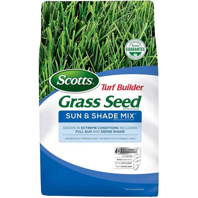 grass-seed-