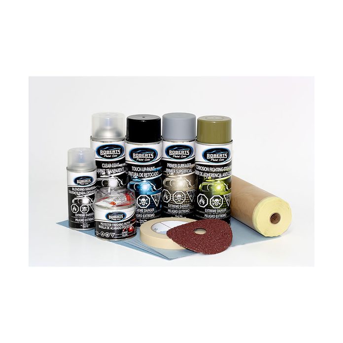 Paint repair kit