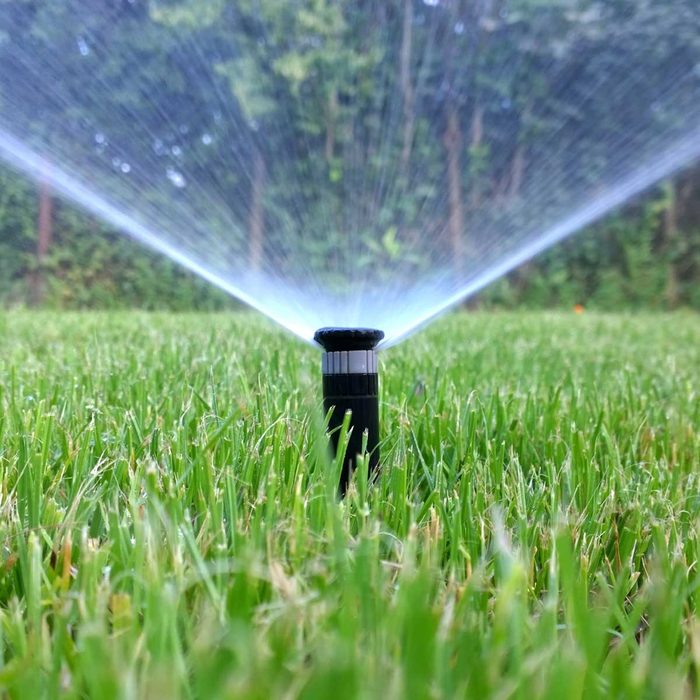 Lawn sprinkler