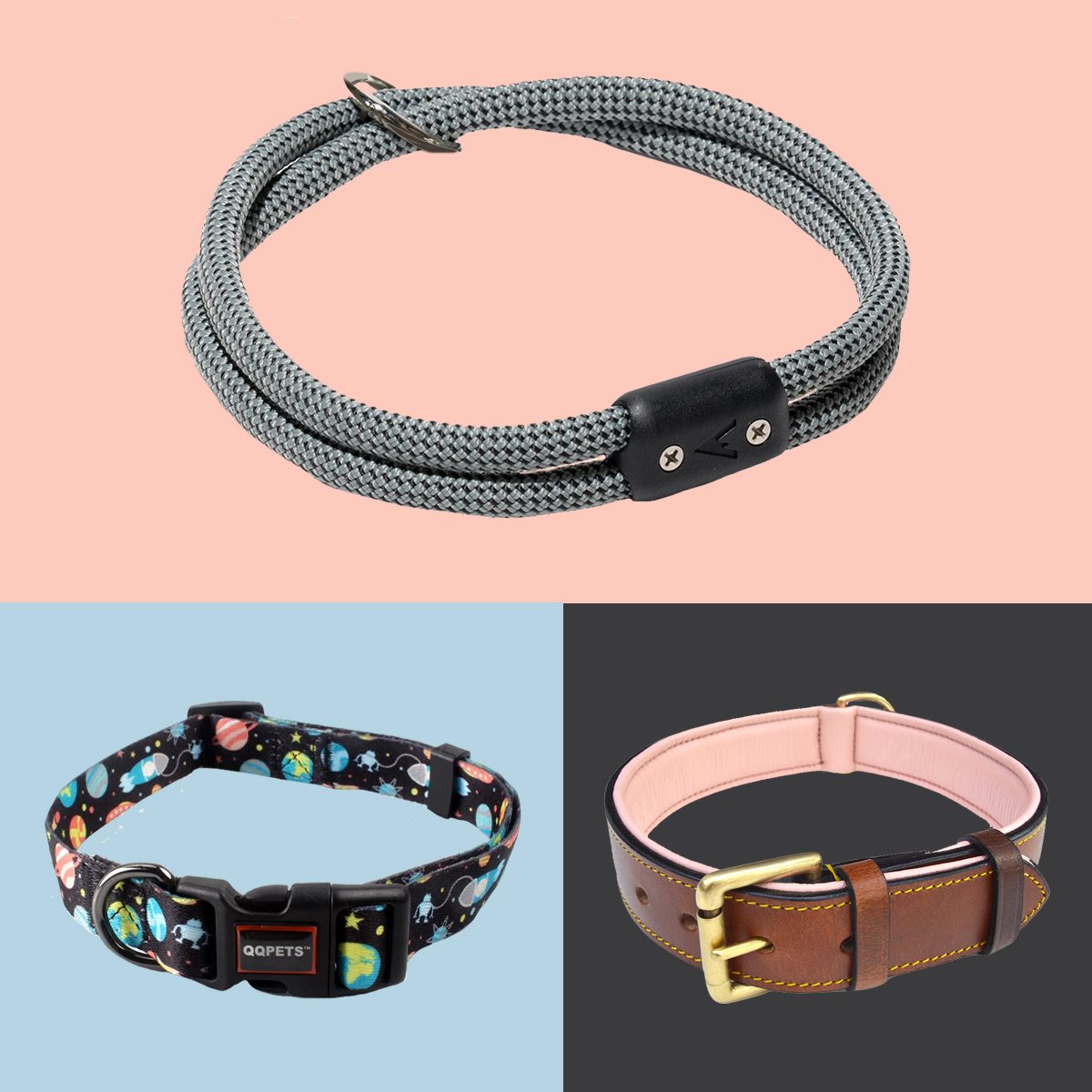 The Safest Types of Dog Collars (and the Most Dangerous) - Whole Dog Journal