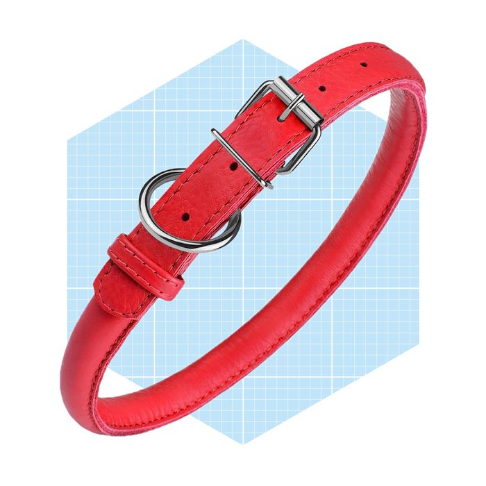 Collardirect Rolled Leather Dog Collar Ecomm Chewy.com