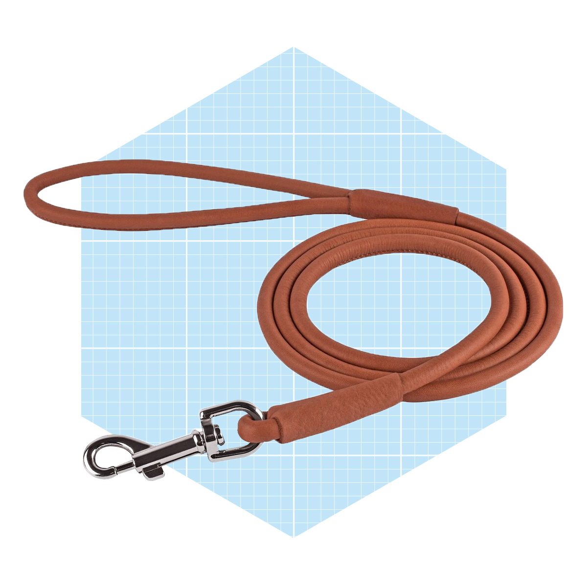 Collardirect Rolled Leather Dog Leash Ecomm Chewy.com