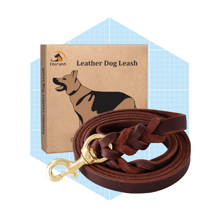 Fairwin Leather Dog Leash Ecomm Amazon.com