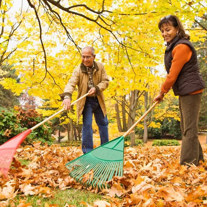 couple raking autumn leaves