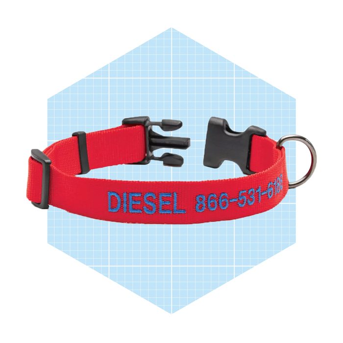 Personalized Side Release Buckle Collar Ecomm Orvis.com