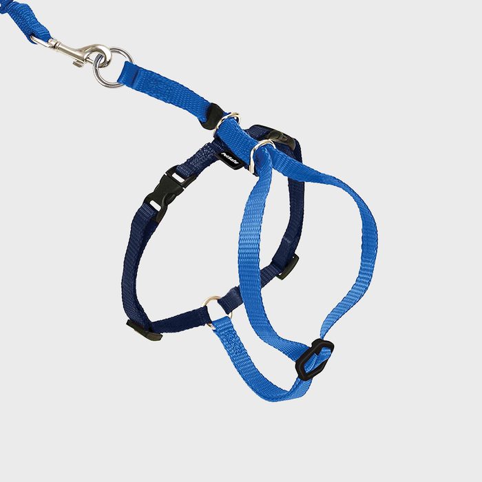 Petsafe Come With Me Kitty Harness
