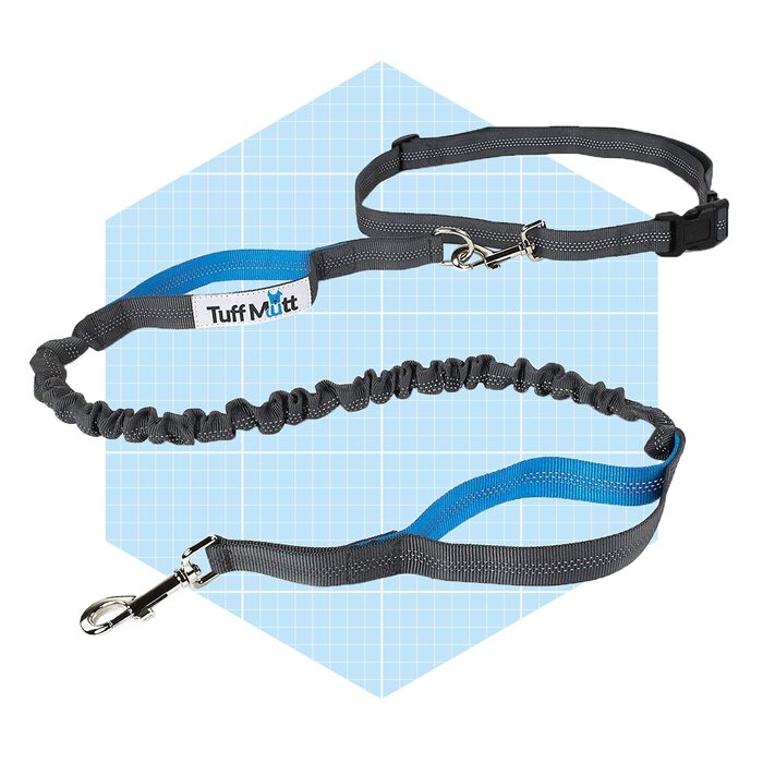 Tuff Mutt Hands Free Bungee Leash Ecomm Chewy.com