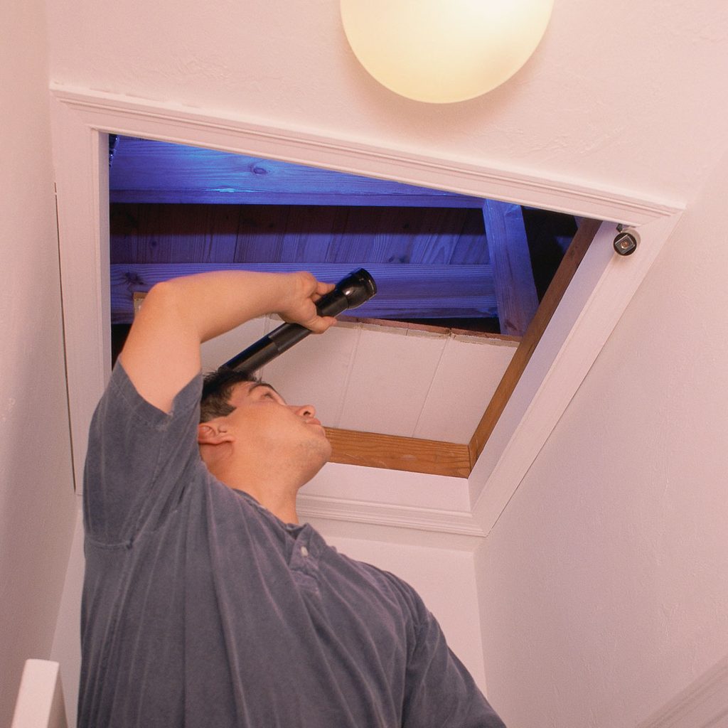 Man inspecting an attic