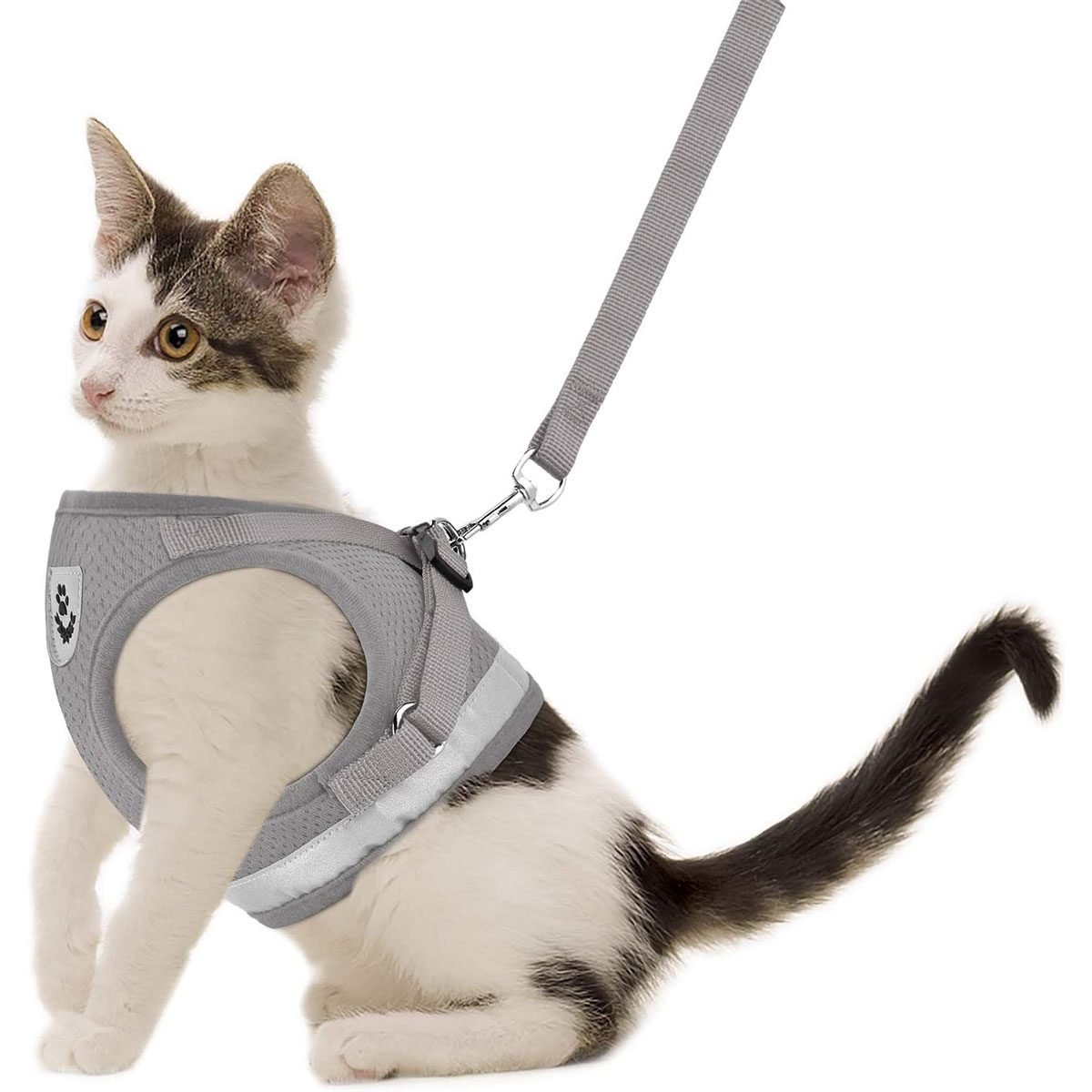 Take your feline friend for a walk Our top 10 Cat Harnesses with