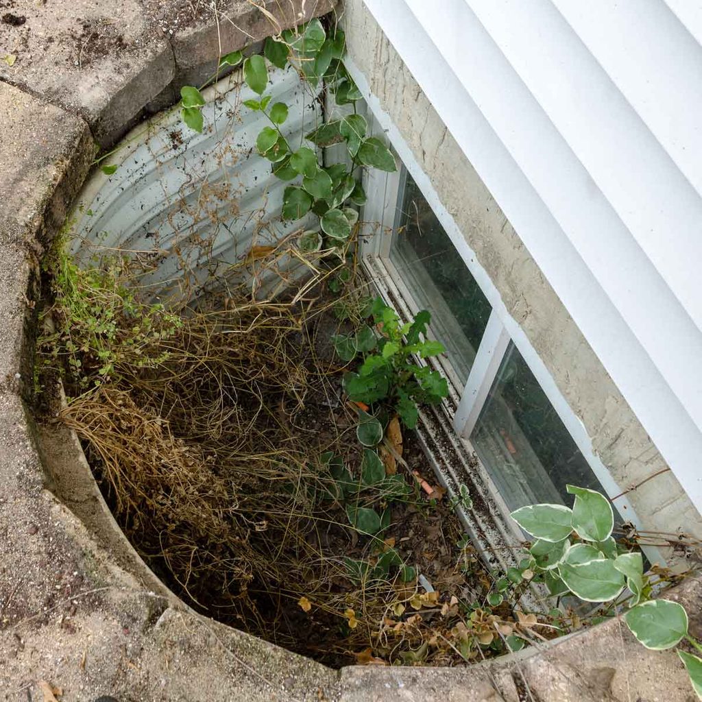 Window well without a cover, full of debris