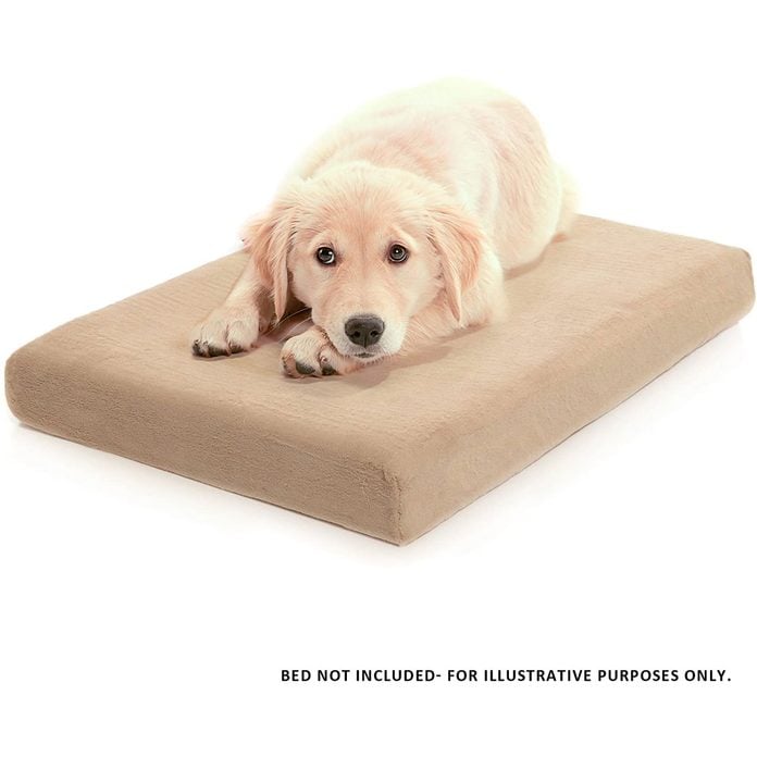 Dog bed cover