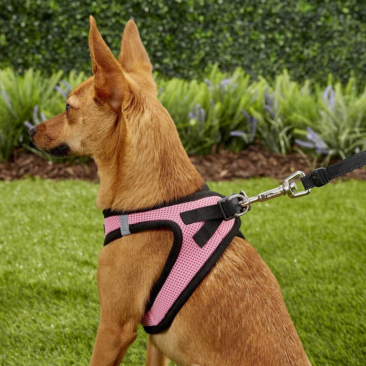 Aumuca No Pull Dog Harness Reflective Step in Small Dog Harness Easy Control Handle for Walking Dog Harness Medium Soft Mesh Adjustable Dog Harness for Small Medium Large Dogs 