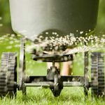 When Should I Fertilize My Lawn?