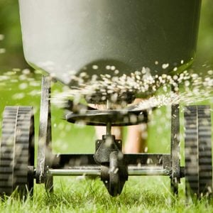 lawn fertilizer