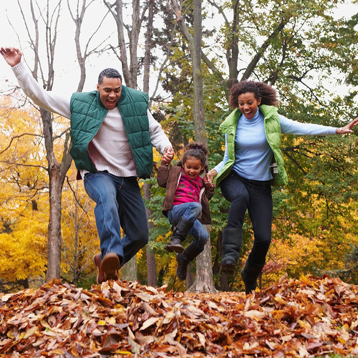 Family Jumping Into Pile Of Autumn Leaves