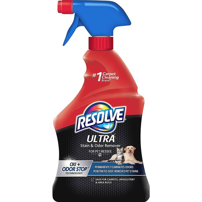 Pet stain remover