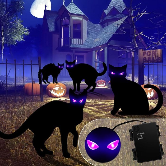 Black Cats With Purple Eyes