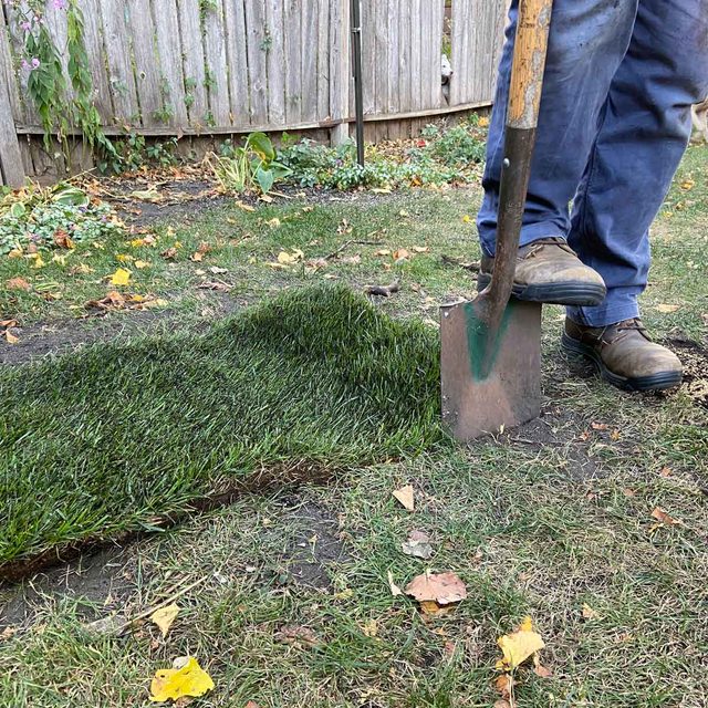 Trace the sod patch