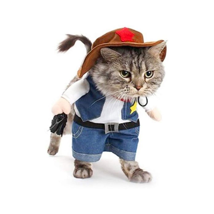 Sheriff cat costume