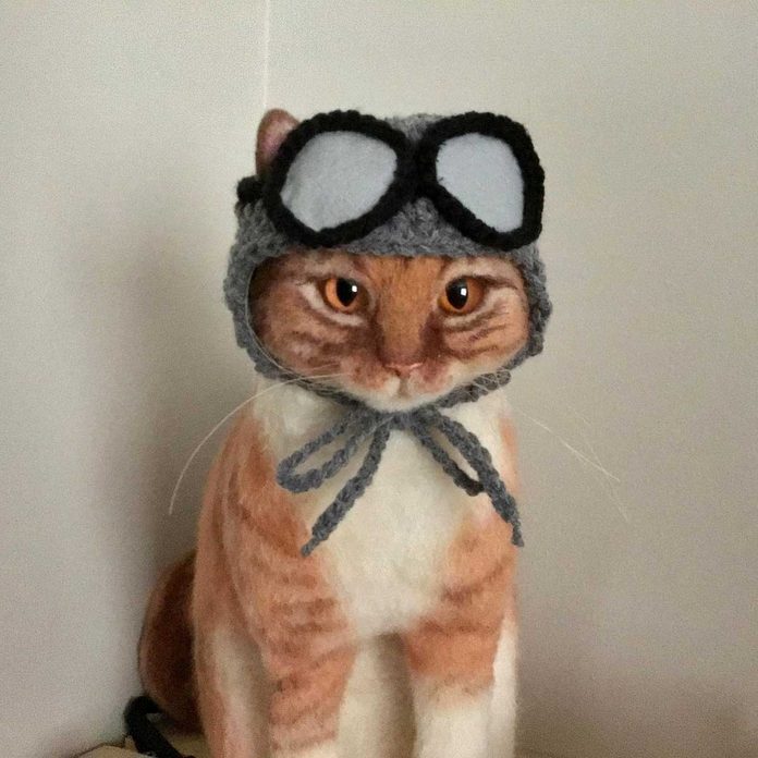 Pilot cat costume