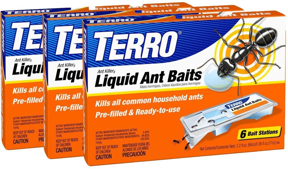 12 Best Ways To Kill Ants In Your Home And Yard