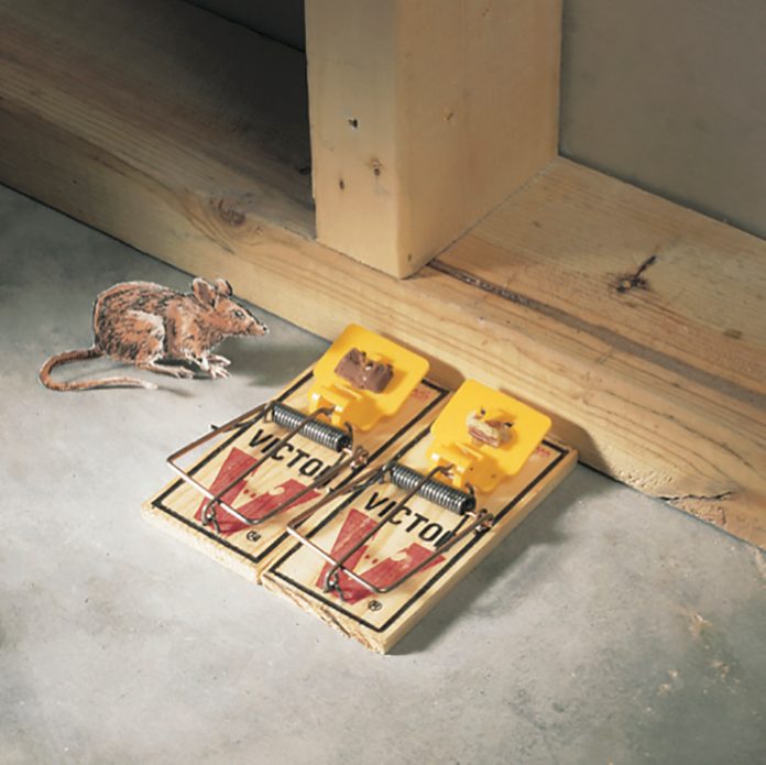 Reusable Wooden Mice Mouse Traps Bait Mice Vermin Rodent Mouse Killer Pest Control Mousetraps Trap Home Garden Outdoor Use, Size: Large, Black