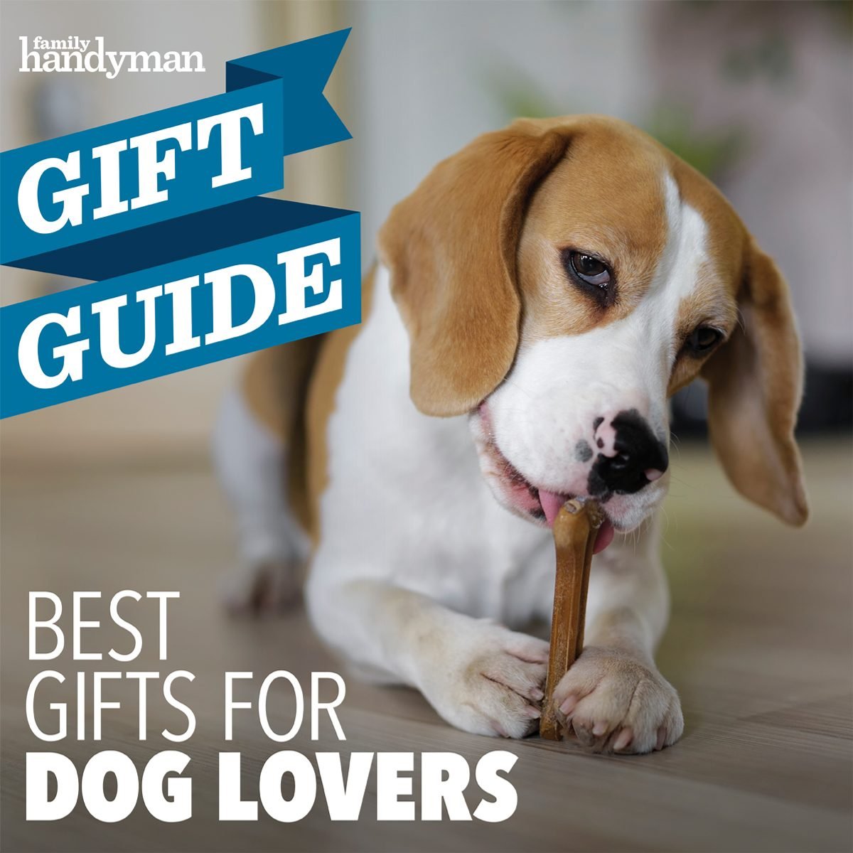 The Best Gifts for Dog Lovers 2020