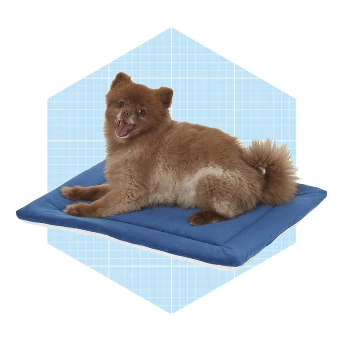 Frisco Self Warming Pillow Rectangular Pet Bed Ecomm Chewy.com