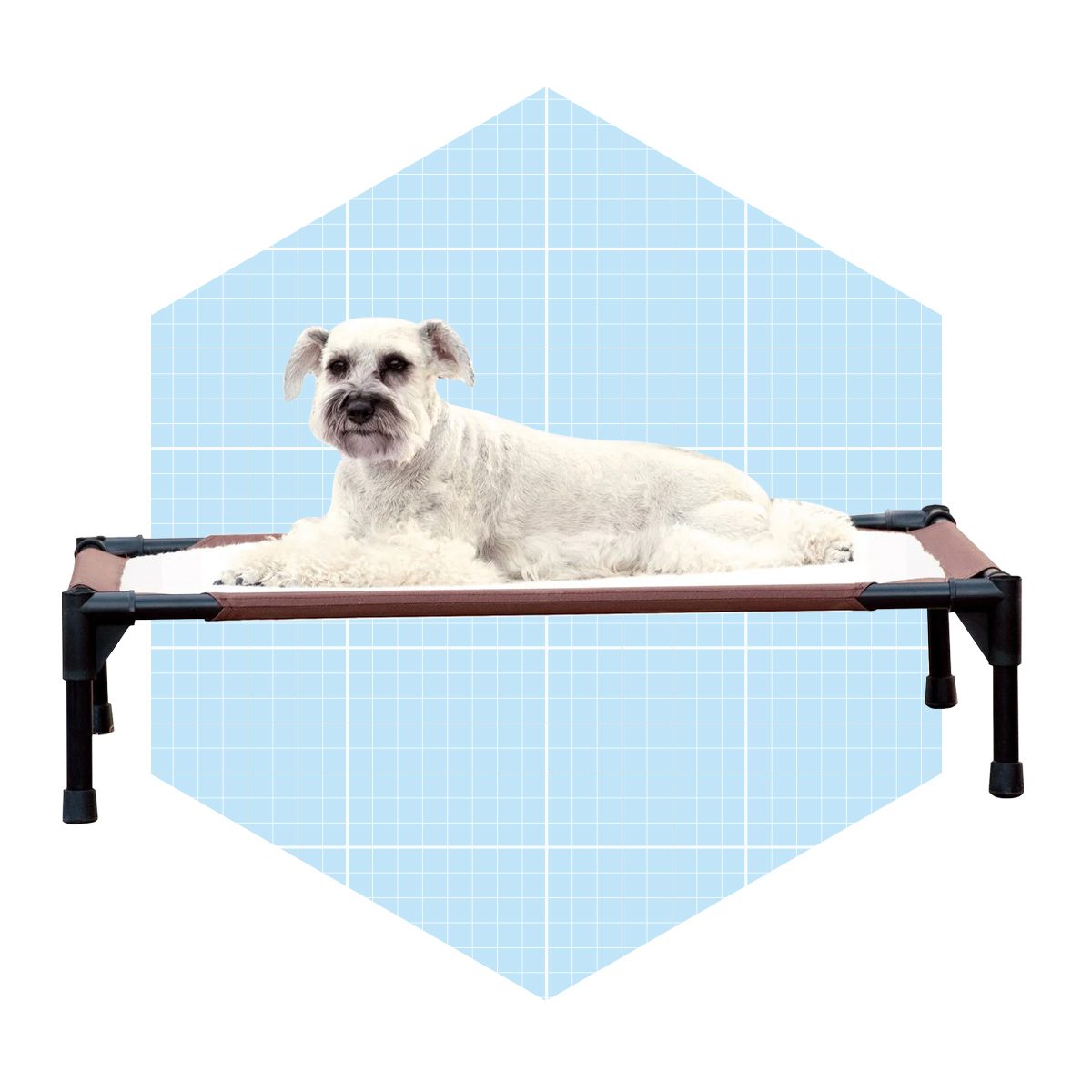 K&h Pet Products Self Warming Elevated Dog Bed Ecomm Chewy.com