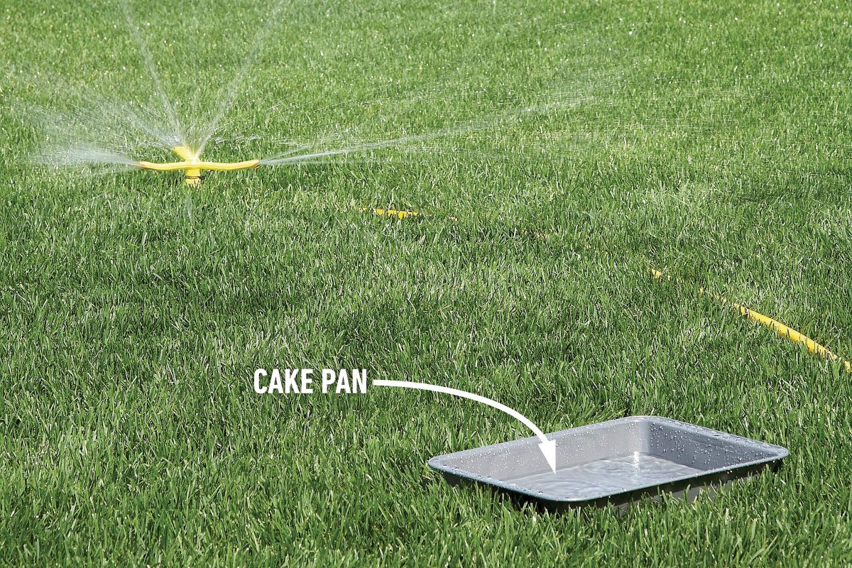 Cake pan on a grass field as garden sprinkler sprays water