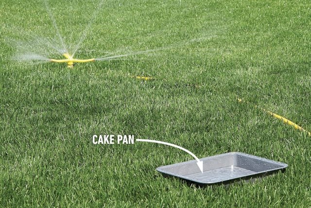 Cake pan on a grass field as garden sprinkler sprays water