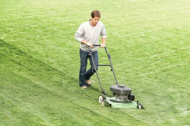A person mowing the lawn