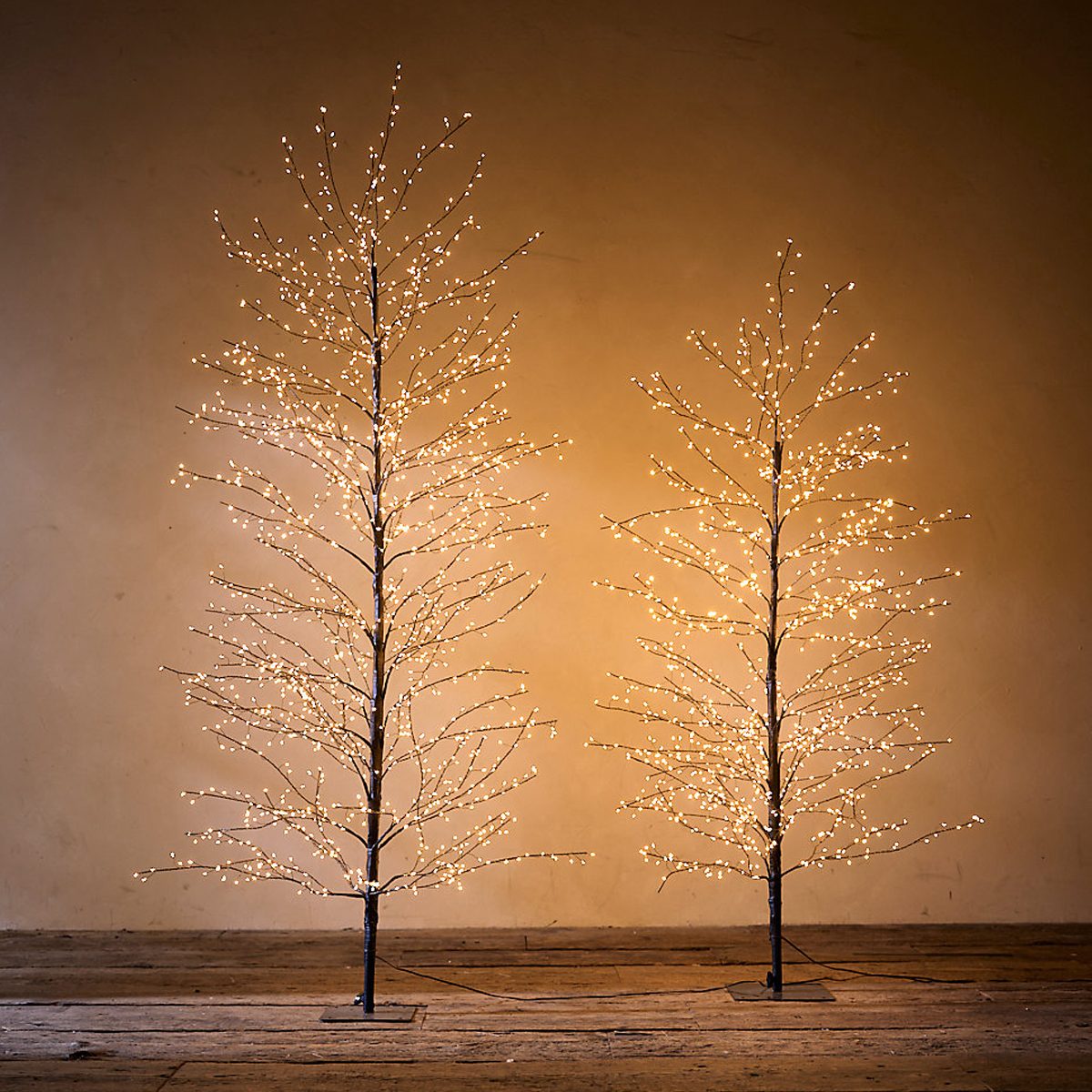 Stargazer Nature Effects Led Outdoor Tree Ecomm Shopterrain.com