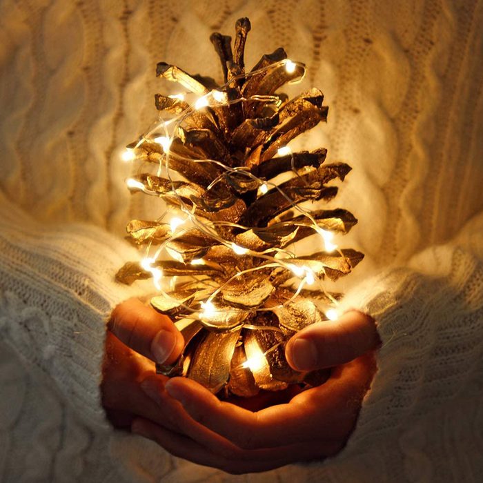 Sterno Home Count Battery Powered Led Fairy String Lights Ecomm Amazon.com
