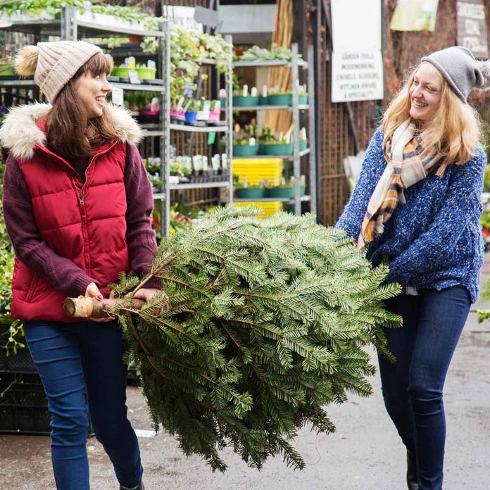 Buying a Christmas tree at a garden store