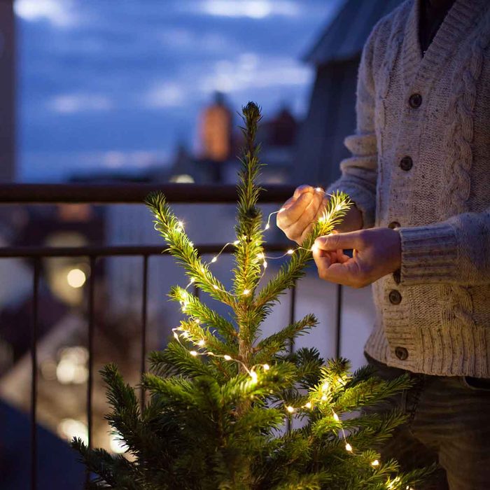 Putting On Christmas Tree Lights