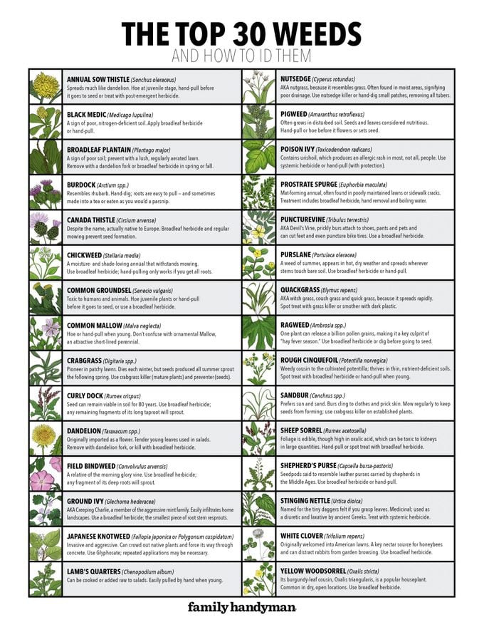 30 weeds Chart