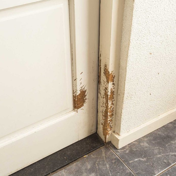 Scratched Door Gettyimages 1132819349