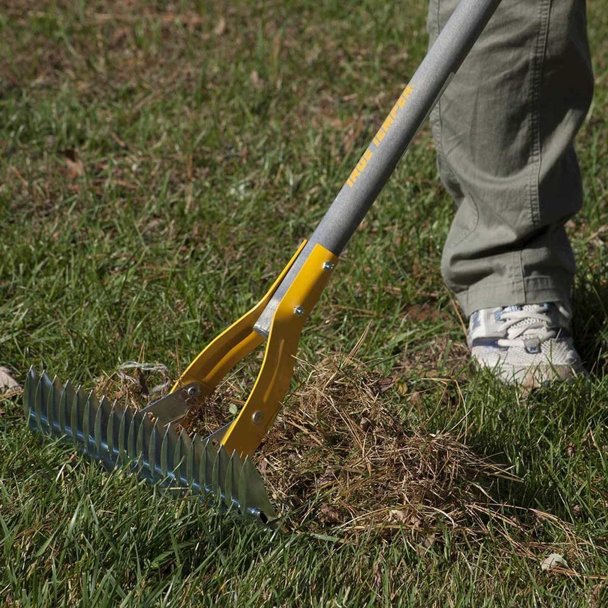 How To Dethatch A Lawn Quickly : Dethatching St Augustine Grass Best ...