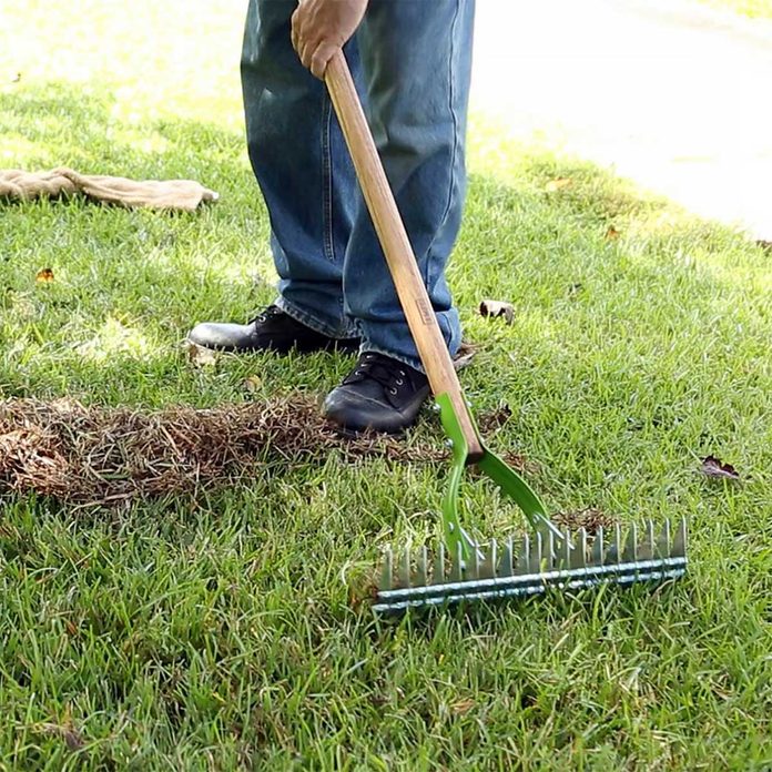 When, Why and How Often to Dethatch Lawn | The Family Handyman