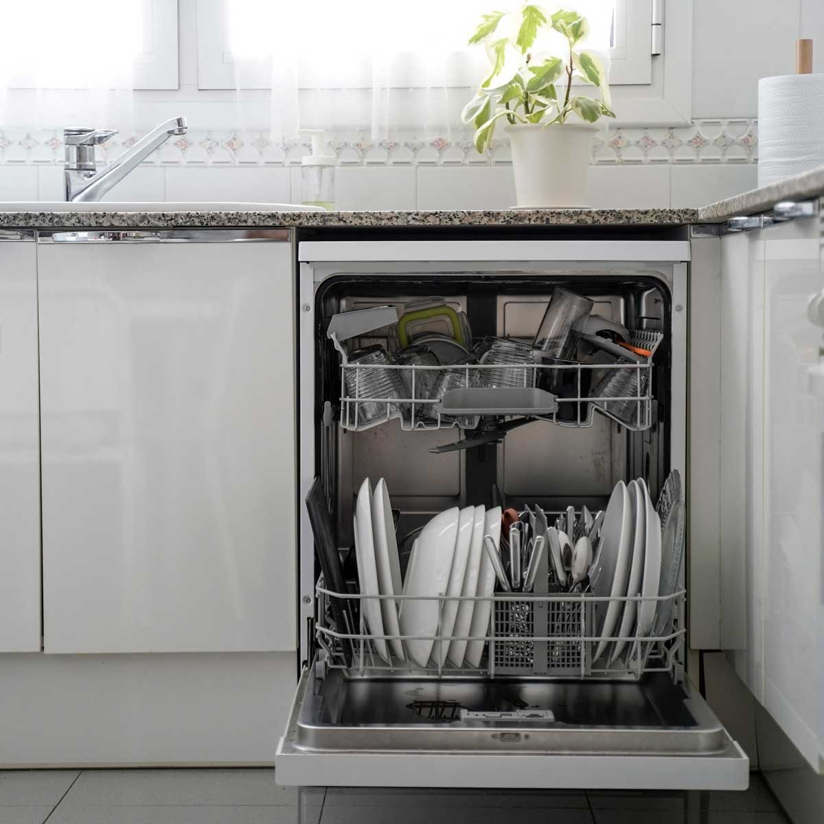 Dishwasher Gettyimages 1220405482