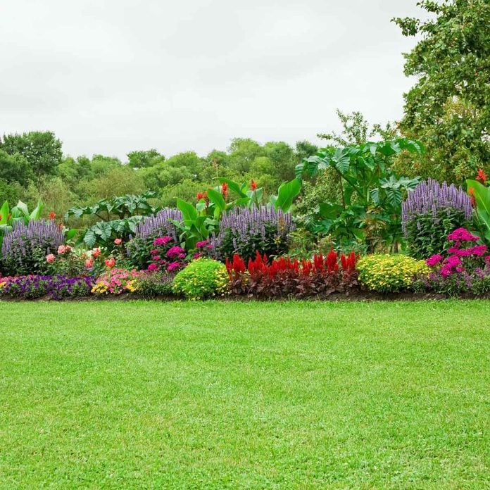 10 Flower Border Ideas And Designs