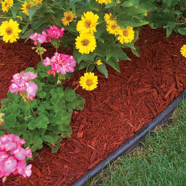  Everything to Know About Mulch