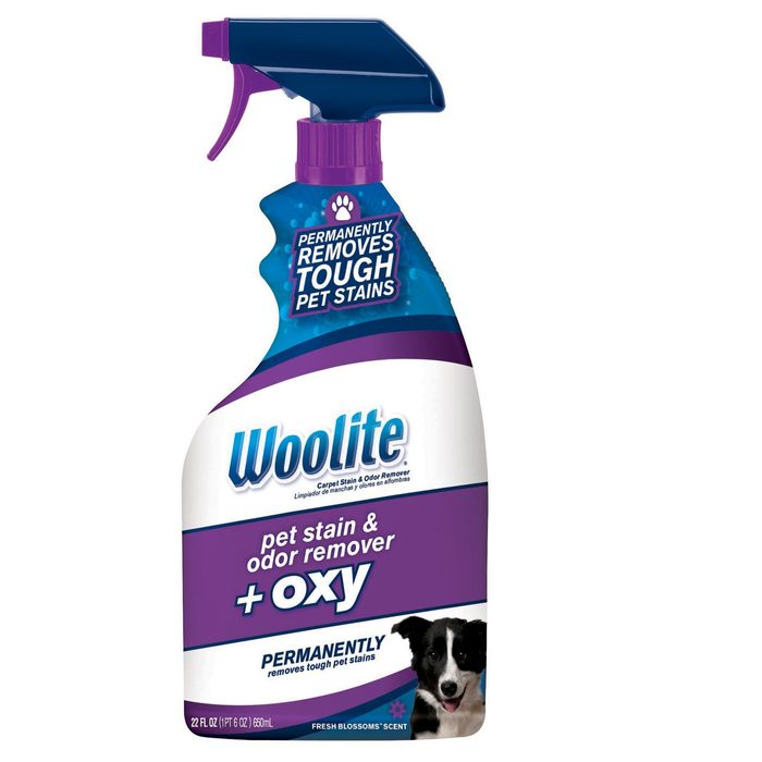 Pet Stain Remover 