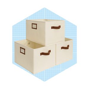 Storageworks Storage Bins For Shelves