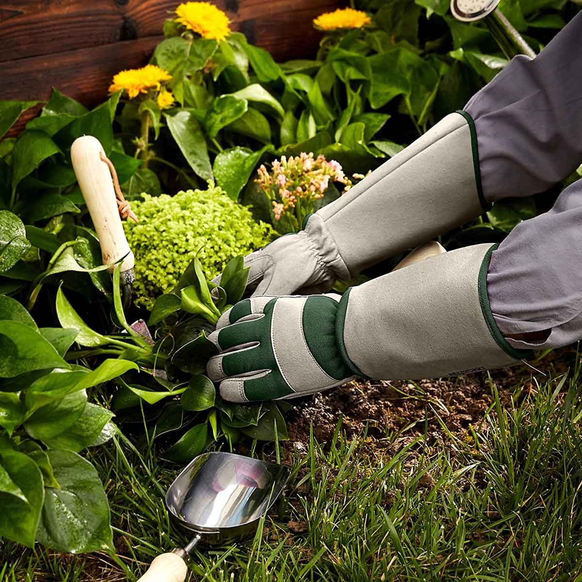 The Best Garden Gloves for the Whole Family | Family Handyman