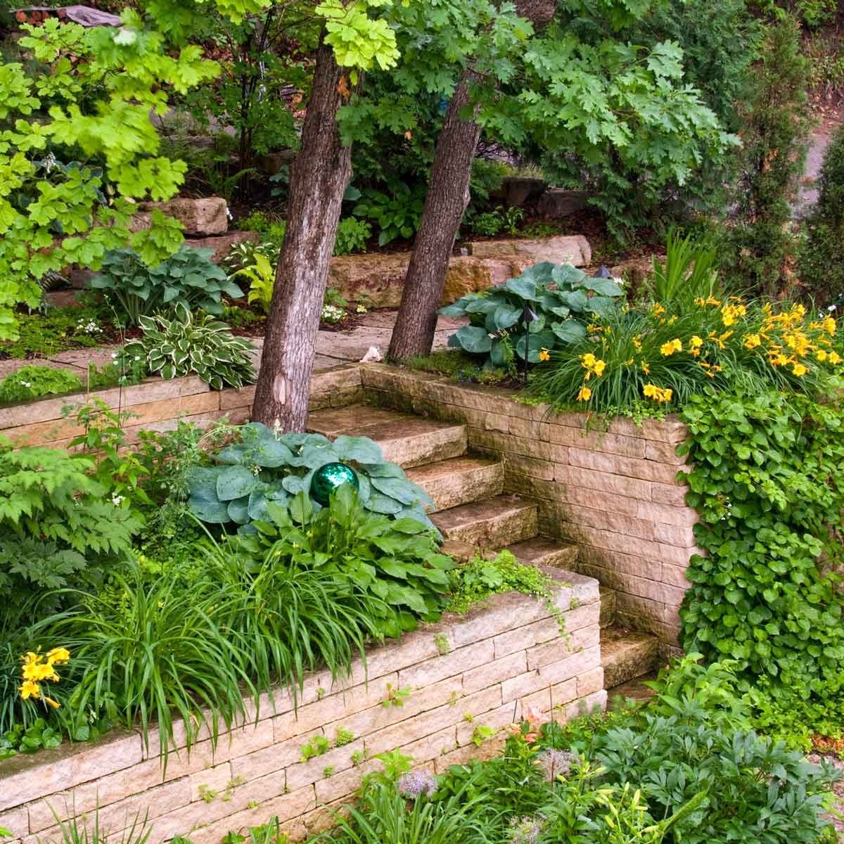 Landscaping design with hostas and daylilies