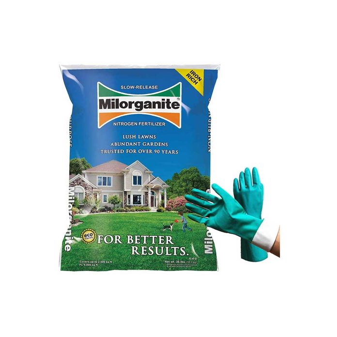 Organic Fertilizer 